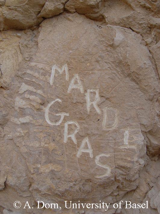 Graf. 0082: Image Graf. 0082: Image